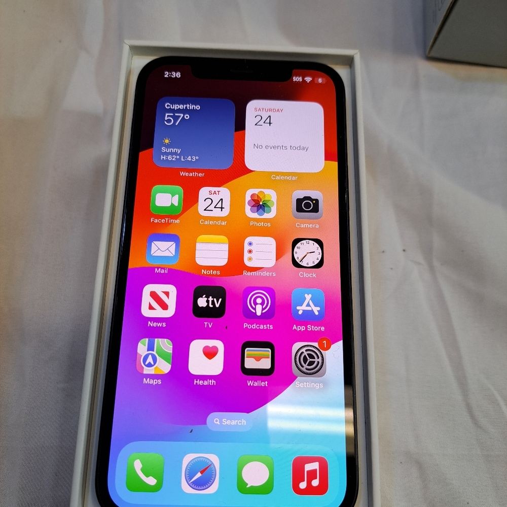 Apple iPhone - Silver and Black
